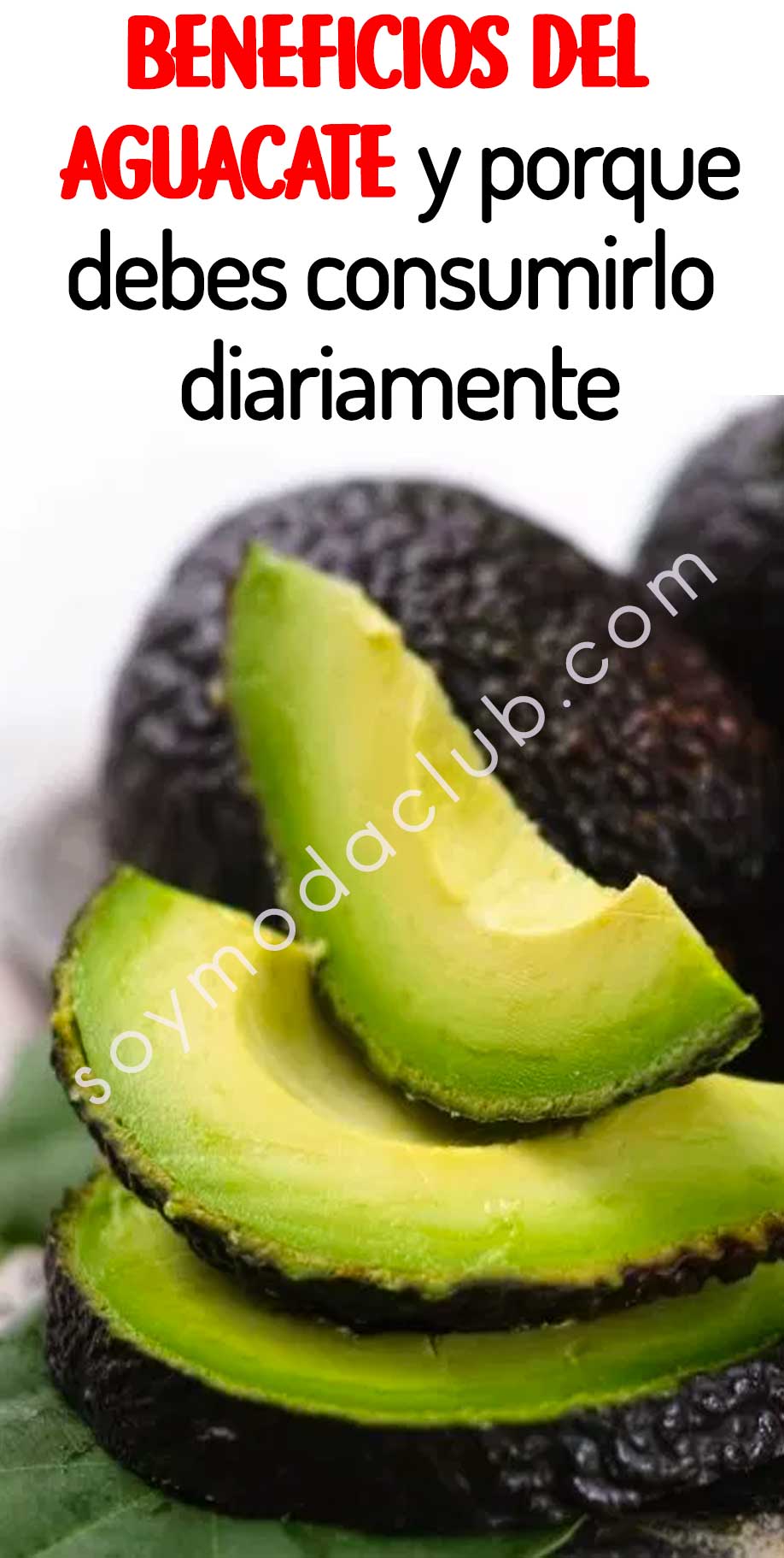 Beneficios Del Aguacate Y Porque Debes Consumirlo Diariamente - Soy Moda