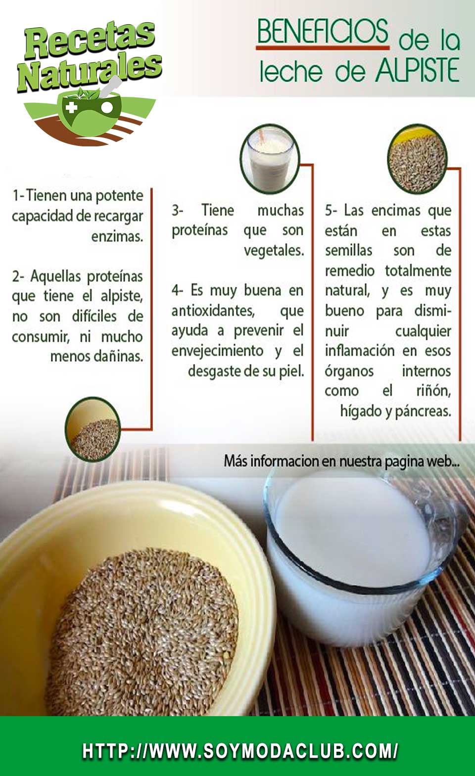 Beneficios del alpiste y propiedades nutritivas Soy moda